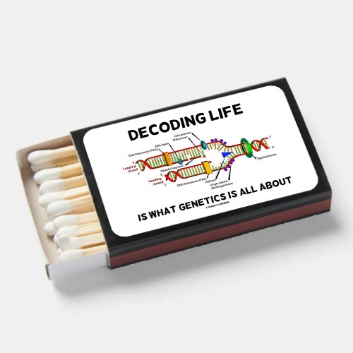 Decoding Life Is What Genetics Is All About Matchboxes