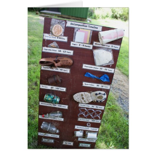Decomposition Time Table Cards (Front)