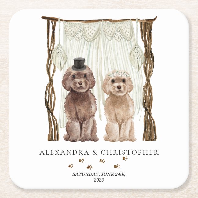 Decor Brown Cavapoo Dog Cute Couple Square Paper Coaster