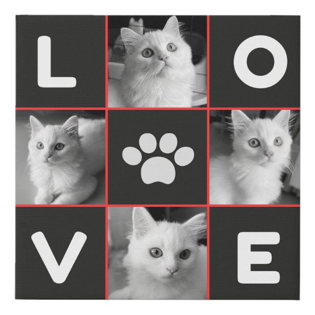 decor on wall faux canvas print (Front)