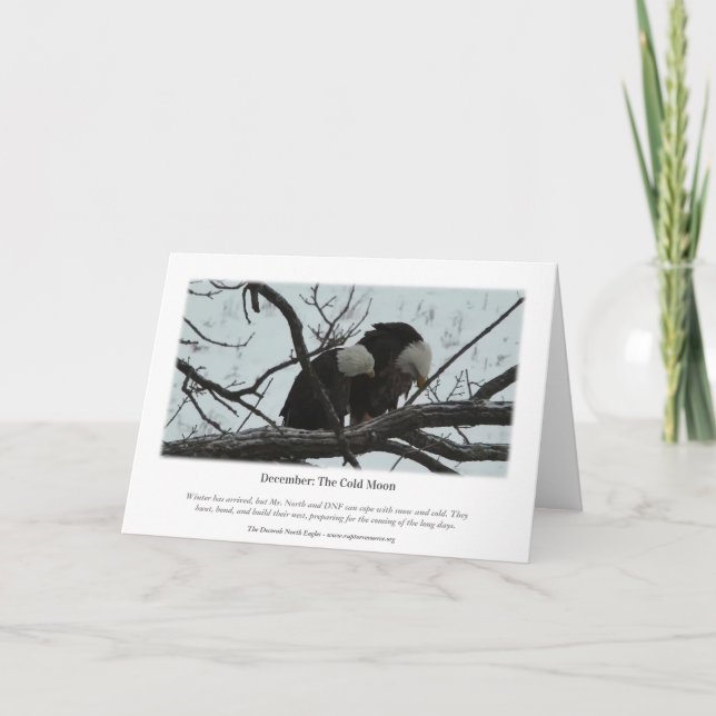 Decorah North Eagles: The Cold Moon Card (Back)