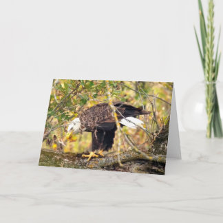 Decorah North Eagles: The Harvest Moon Card