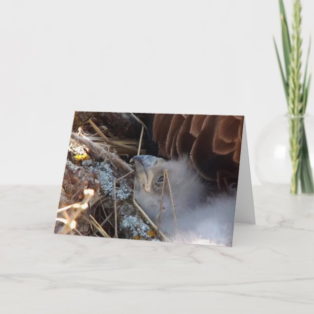 Decorah North Eagles: The Pink Moon Card (Front)