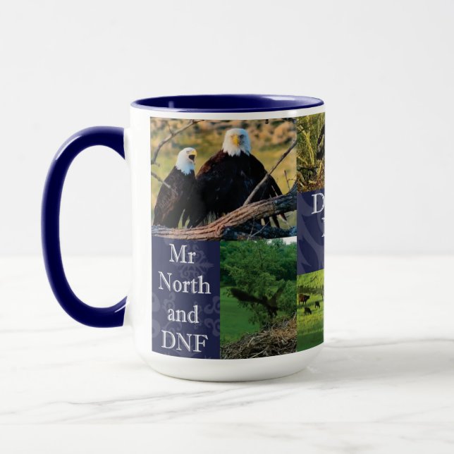 Decorah North Nest 2020 Mug (Left)