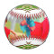 Decorate the Baseball with Photo Name and Number