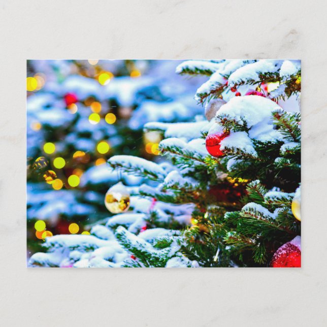 Decorated Christmas Tree, Snow, Lights Postcard (Front)