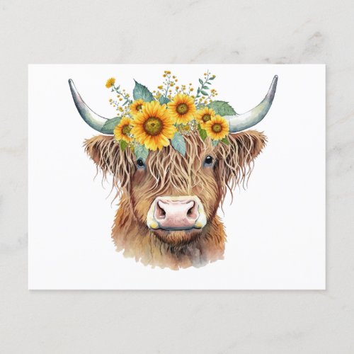 Decorated Highland Cow Postcard