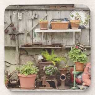 Decorations on wooden fence, Catalina Island, Beverage Coaster