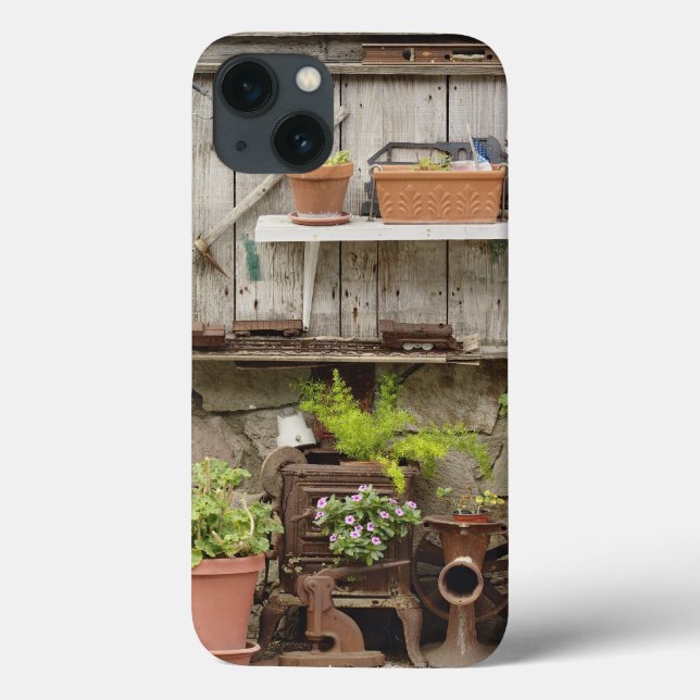 Decorations on wooden fence, Catalina Island, Case-Mate iPhone Case (Back)