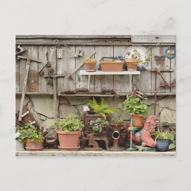 Decorations on wooden fence, Catalina Island, Postcard (Front)
