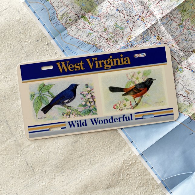 Decorative Birds West Virginia Front License Plate (In Situ)