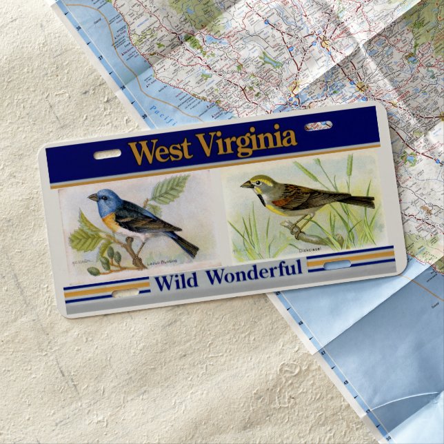Decorative Birds West Virginia Front License Plate (In Situ)