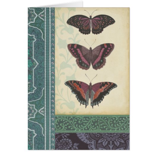 Decorative Butterfly Brocade by Vision Studio Cards (Front)