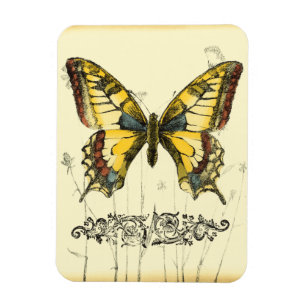 Decorative Butterfly with Wildflowers Magnet
