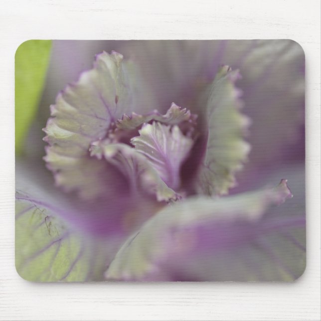 Decorative cabbage mouse pad (Front)