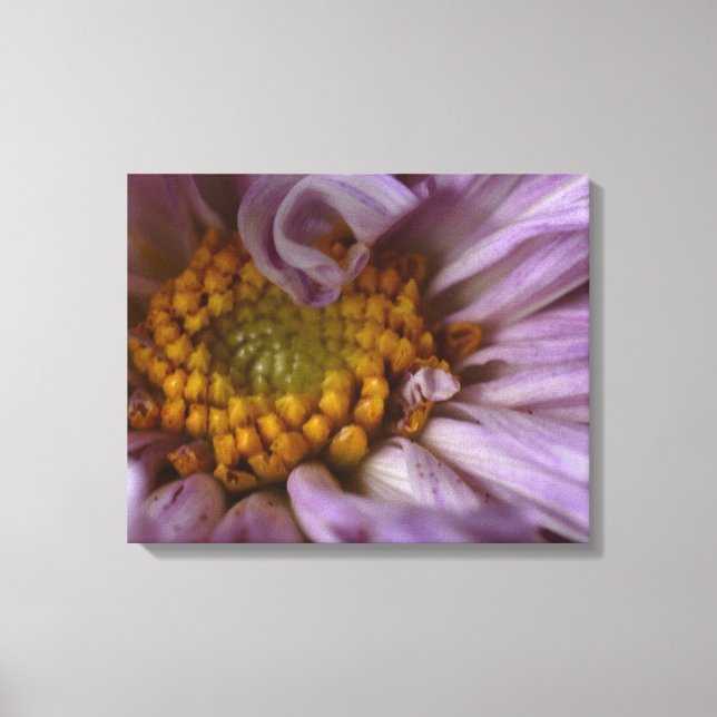 Decorative Canvas Wall Art – Timeless Design (Front)