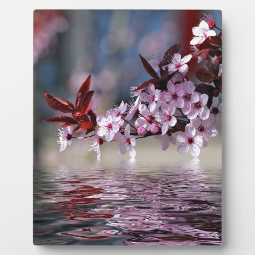 Decorative cherry tree blossoms plaque