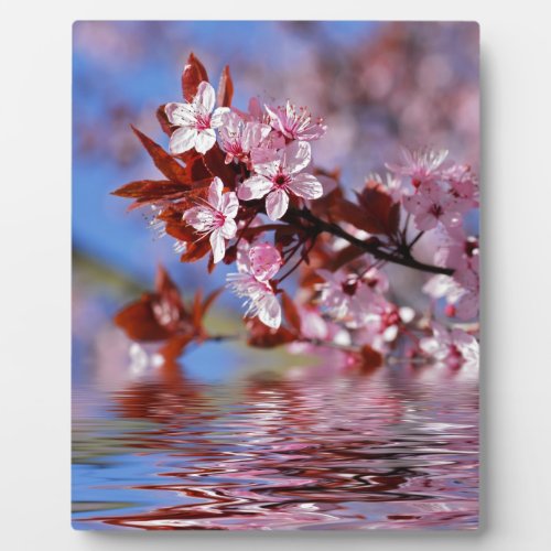 Decorative cherry tree blossoms plaque