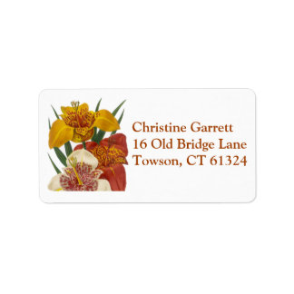 Decorative colorful flower daylily label