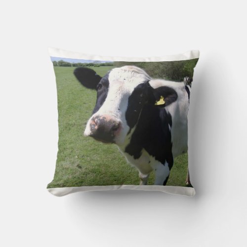 Decorative cow pillow