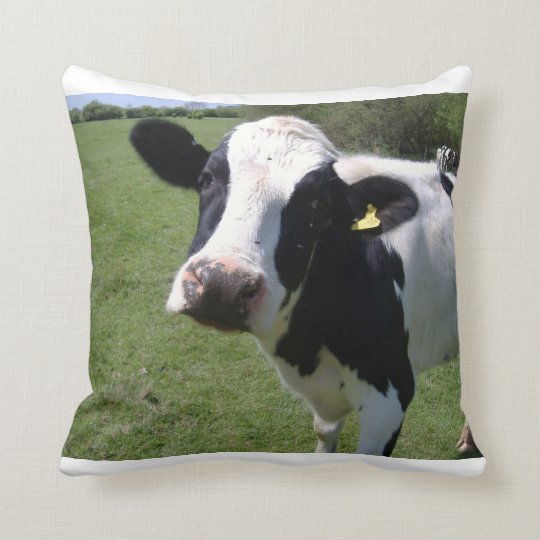 small cow pillow pet