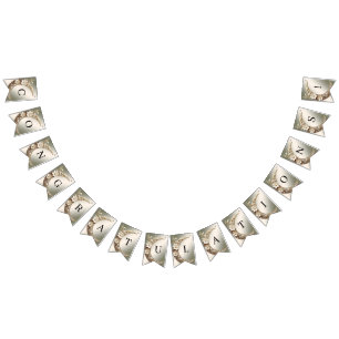 Decorative Crescent Moon Frame Bunting Flag