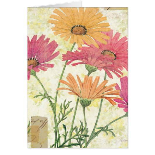 Decorative Daisies Cards (Front)
