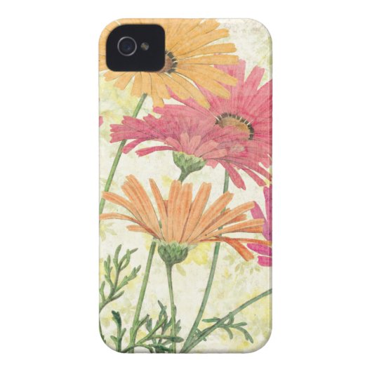 Decorative Daisies Case-Mate iPhone Case (Back)