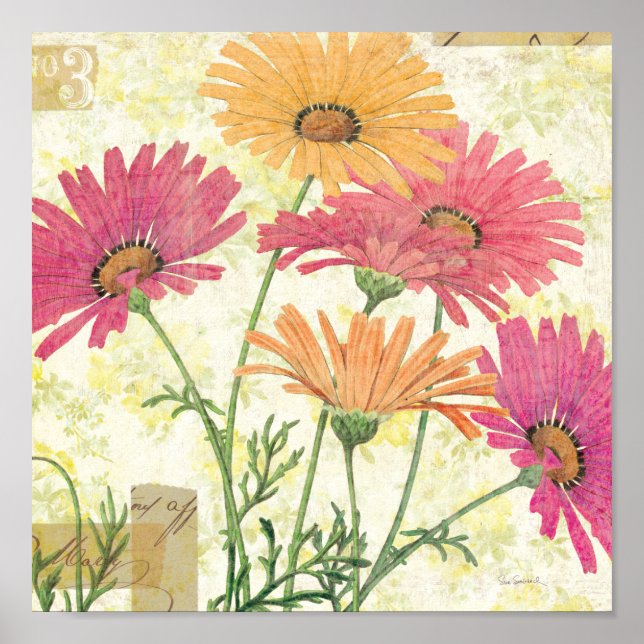 Decorative Daisies Poster (Front)