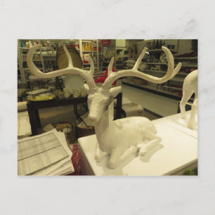 Decorative Deer Postcard
