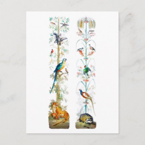 Decorative Depiction of Plants and Animals Postcard