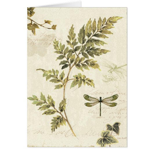 Decorative Ferns and a Dragonfly Cards (Front)
