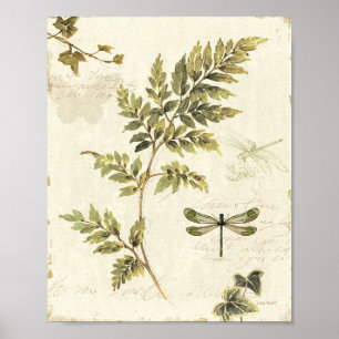 Decorative Ferns and a Dragonfly Poster