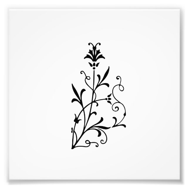 Decorative Floral Flourish Photo Print (Front)