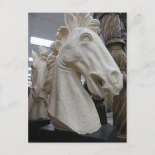 Decorative Horse Head Postcard
