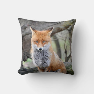 decorative pillow