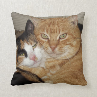 Decorative pillow Gatos