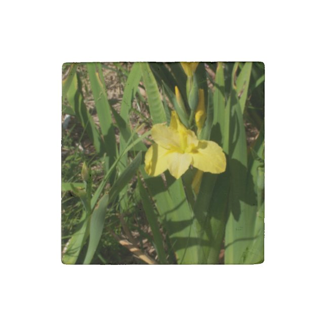 Decorative Primed Marble Stone Magnet Flower (Front)