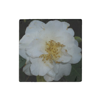 Decorative Primed Marble Stone Magnet Flower