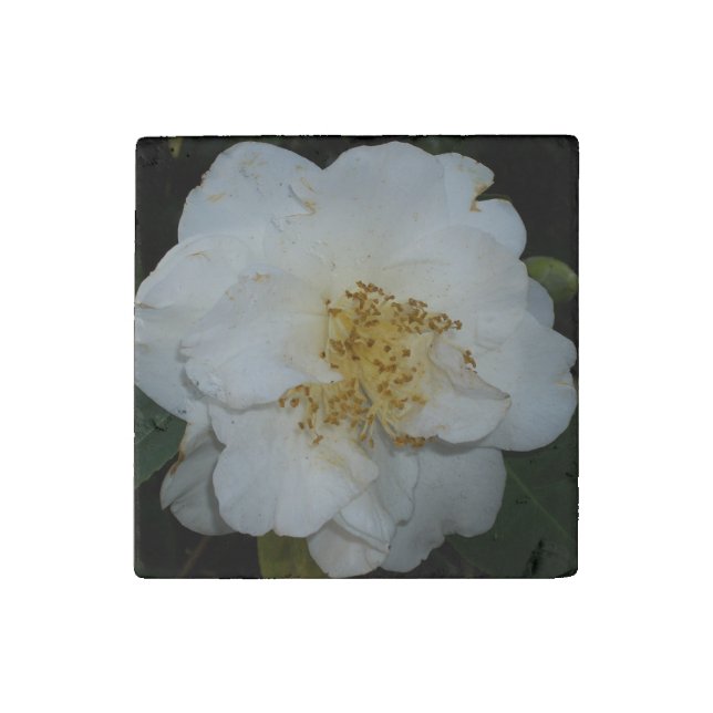 Decorative Primed Marble Stone Magnet Flower (Front)