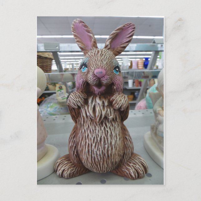 Decorative Rabbit Postcard (Front)