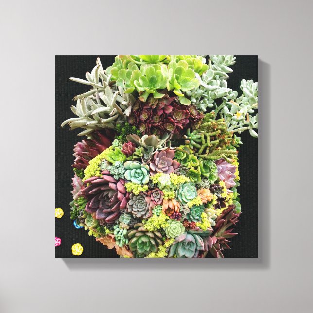 Decorative Succulents Canvas Print (Front)