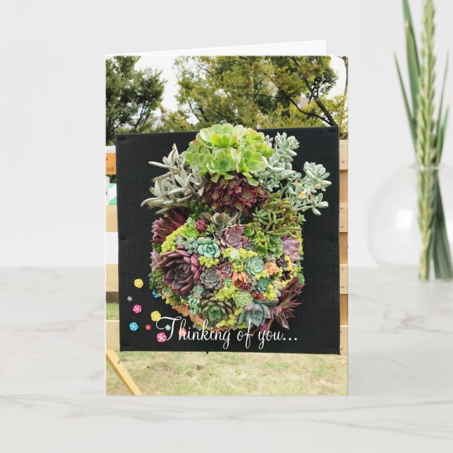 Decorative Succulents Card (Front)