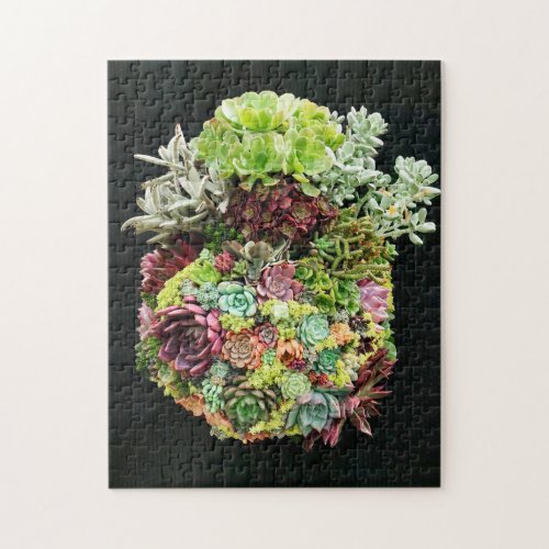 Decorative Succulents Jigsaw Puzzle
