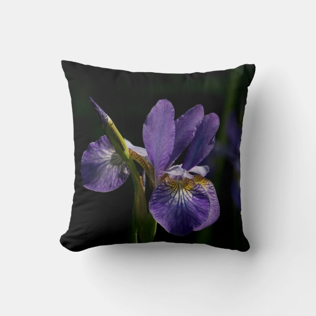 Decorative Throw Pillows. Pillow (Front)
