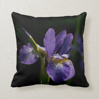 Decorative Throw Pillows. Throw Pillow