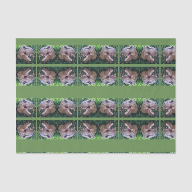 Decorative tissue paper Dinosaur (Front)