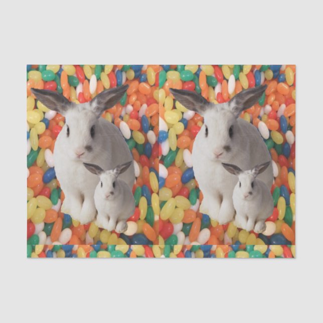 Decorative tissue paper easter (Front)