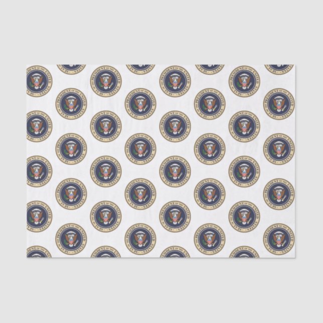 Decorative Tissue Paper President (Front)