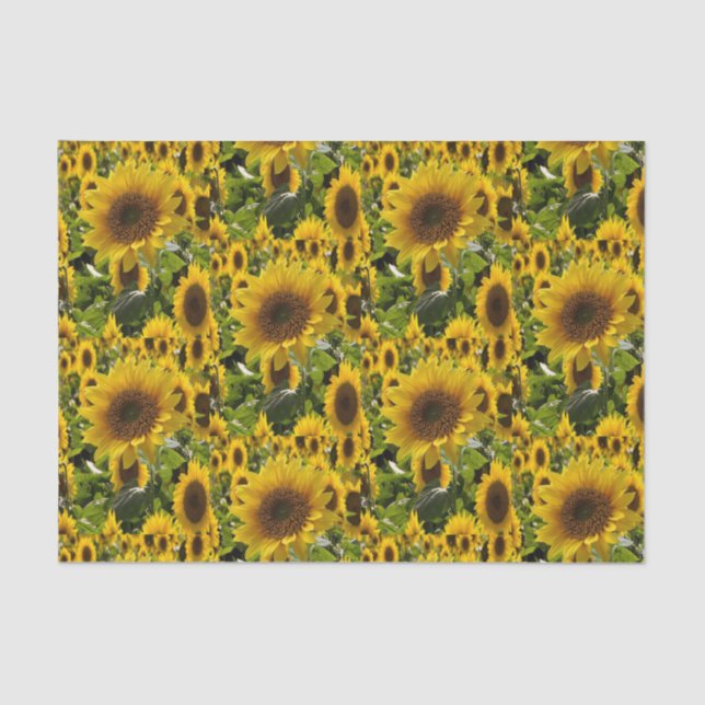Decorative tissue paper Sunflower (Front)